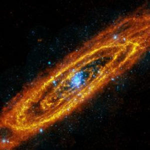 Meet your Posher, Kevin munoz